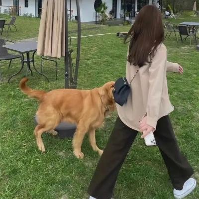 贼中贼
